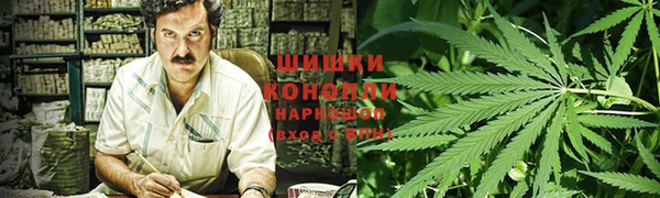 индика Покров